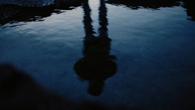Video Reference: Reflection, Blue, Water, Sky, Water resources, Reflecting pool, Cloud, Tree, Calm, Lake, Outdoor, Boat, Small, Sitting, Dark, Man, Body, Dock, Standing, Sunset, Umbrella, Pond, Bird, River, Floating, Holding, Docked, Swimming, Red, Large, Table, White, Ocean, Snow, Skiing, Riding, Group, Nature