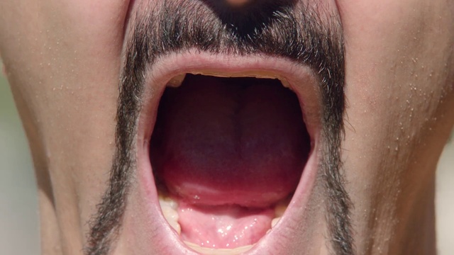 Video Reference: Hair, Face, Tongue, Mouth, Lip, Close-up, Nose, Skin, Organ, Chin