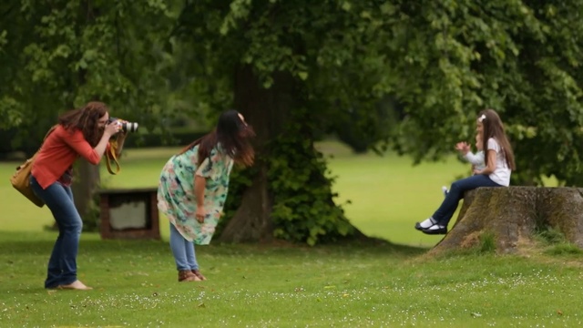 Video Reference: nature, photograph, green, vertebrate, plant, tree, grass, public space, fun, lawn