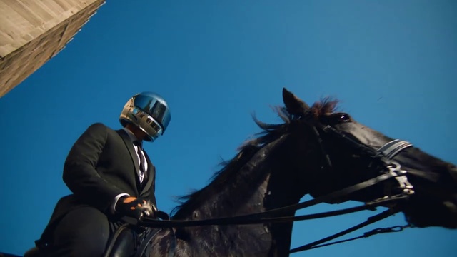 Video Reference: Horse, Horse harness, Halter, Bridle, Helmet, Rein, Horse tack, Stallion, Jockey, Horse trainer