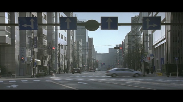 Video Reference: urban area, traffic light, signaling device, road, metropolis, metropolitan area, town, street, residential area, lane