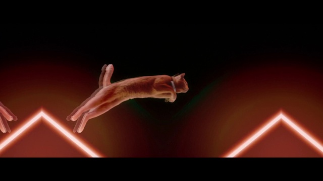 Video Reference: Jumping, Flip (acrobatic), Hand, Gymnastics, Night