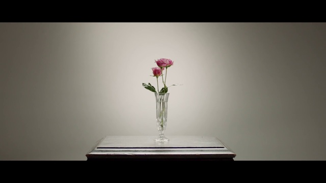 Video Reference: Flower, Vase, Plant, Petal, Rectangle, Artifact, Drinkware, Magenta, Glass, Rose