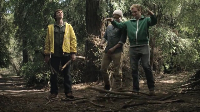 Video Reference: forest, wilderness, tree, jungle, plant, woodland, rainforest, old growth forest