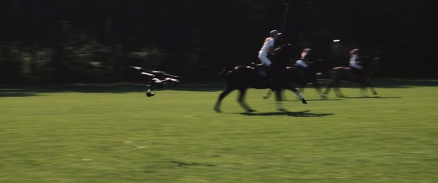 Video Reference: Horse, Bridle, Polo, Stick and Ball Sports, Rein, Stick and Ball Games, Horse tack, Animal sports, Mare, Team sport