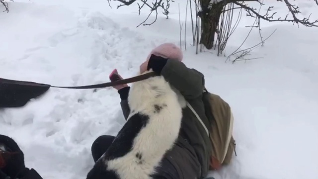 Video Reference: Snow, Winter, Freezing, Winter storm, Blizzard