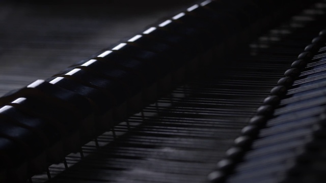 Video Reference: Black, Black-and-white, Monochrome, Line, Photography, Monochrome photography, Technology, Metal, Architecture, Steel, Sitting, Computer, Laptop, Dark, Cat, Keyboard, Red, Table, Woman, Remote, Blurry, Board, Laying, Phone, White, Night, Piano