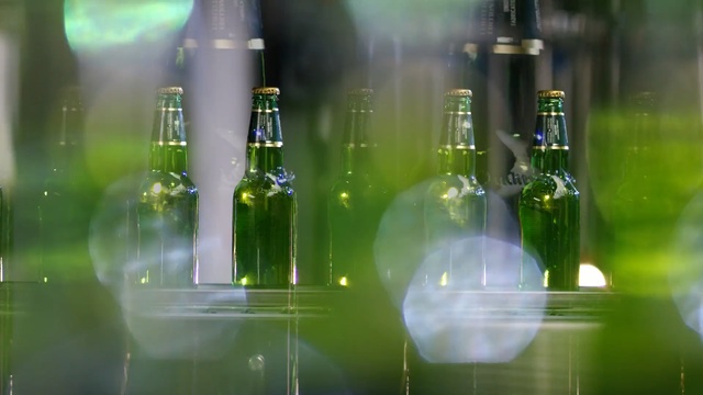 Video Reference: Bottle, Glass bottle, Green, Wine bottle, Light, Alcohol, Glass, Water, Transparent material, Drink
