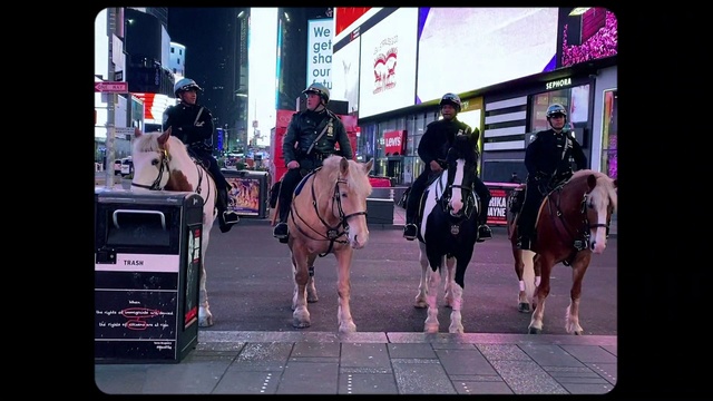 Video Reference: Horse, Snapshot, Mode of transport, Transport, Pink, Pedestrian, Street, Urban area, Snout, Infrastructure