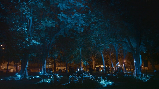 Video Reference: Blue, Nature, Night, Sky, Water, Light, Tree, Darkness, Lighting, Winter