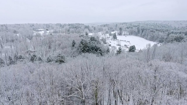 Video Reference: Snow, Winter, Frost, Freezing, Atmospheric phenomenon, Tree, Black-and-white, Ice, Photography, Landscape