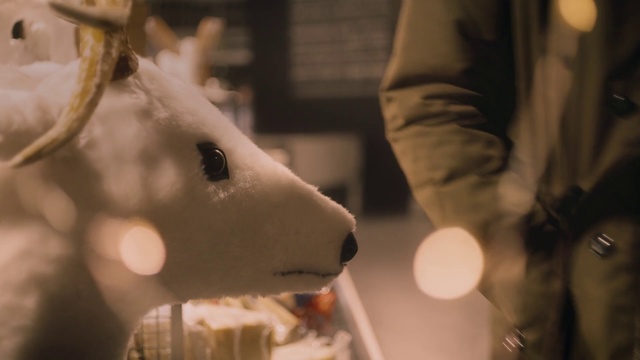 Video Reference: Nose, Snout, Tree, Fur, Fawn