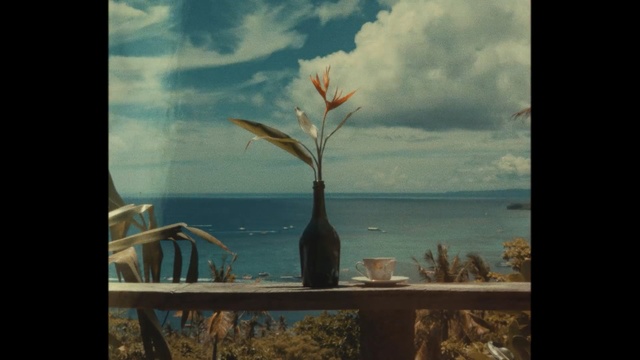 Video Reference: sky, water, sea, ocean, calm, tree, painting, wood, horizon, wind, Person