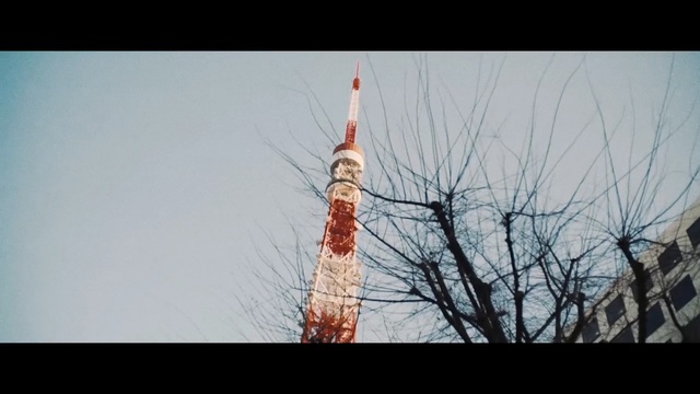Video Reference: sky, tree, tower, electricity, electrical supply