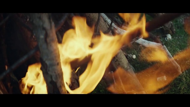 Video Reference: Heat, Flame, Fire, Yellow, Tree, Bonfire, Campfire, Art
