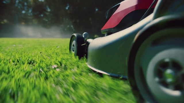 Video Reference: Vehicle, Green, Grass, Automotive design, Lawn, Car, Wheel, Mode of transport, Tire, Automotive wheel system