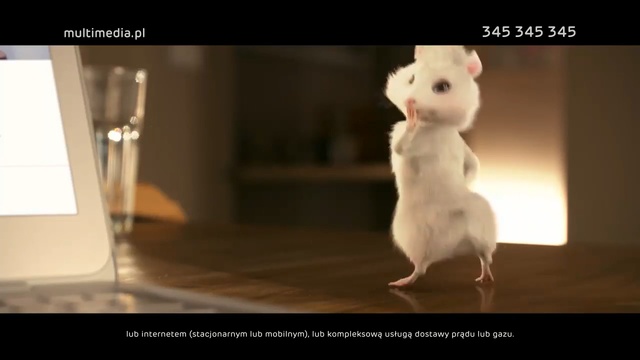 Video Reference: Photo caption, Animation, Rat, Muridae, Mouse, Fur, Fictional character