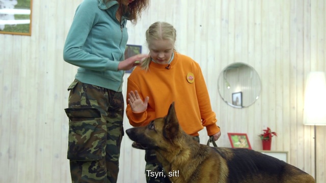Video Reference: Dog, Canidae, Dog breed, Carnivore, Police dog, Veterinarian, Obedience training, Guard dog