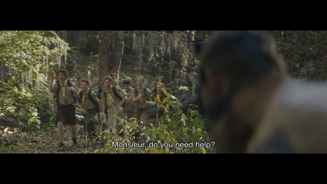 Video Reference: nature, wilderness, jungle, screenshot, forest, grass, tree, woodland, biome, organism