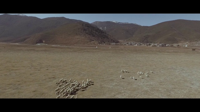 Video Reference: Ecoregion, Natural environment, Plain, Steppe, Grassland, Landscape, Sand, Horizon, Plateau, Tundra