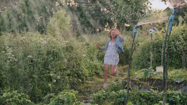 Video Reference: Vegetation, Nature, Jungle, Plant community, Tree, Nature reserve, Shrub, Forest, Biome, Plant