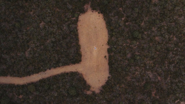 Video Reference: soil, fauna, organism, grass