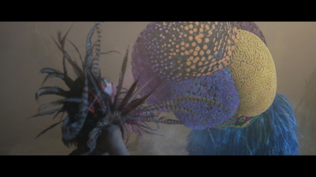 Video Reference: Feather, Hair accessory, Organism, Headgear, Fashion accessory, Art, Headpiece