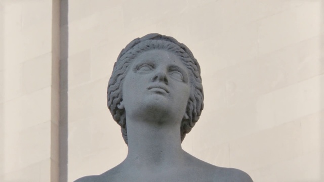 Video Reference: Sculpture, Face, Art, Classical sculpture, Statue, Head, Forehead, Chin, Cheek, Stone carving, Building, Person, Standing, Man, Front, Looking, Mirror, White, Teeth, Bird, Holding, Reflection, Black, Brush, Water, Human face, Bust, Marble