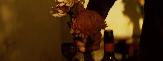 Video Reference: Still life photography, Animation, Figurine, Action figure, Alcohol, Photography, Plant, Toy, Flower