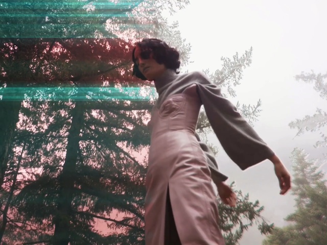 Video Reference: Water, Outerwear, Organism, Tree, Photography, Adaptation, Person