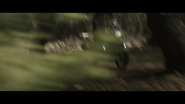 Video Reference: Nature, Green, Darkness, Tree, Screenshot, Grass, Pc game, Woodland, Photography, Plant