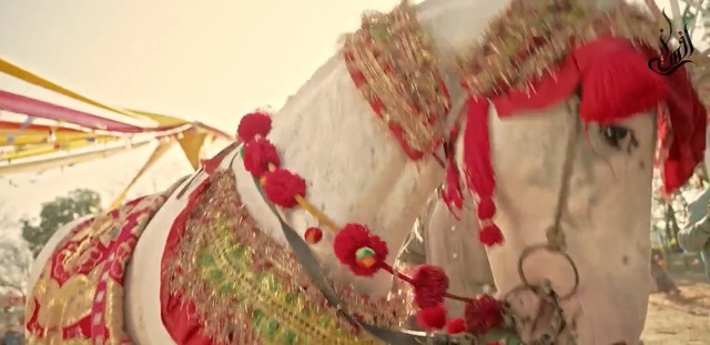 Video Reference: Cake decorating, Buttercream, Tradition, Cake, Food, Dessert, Torte, Icing, Baked goods, Cuisine