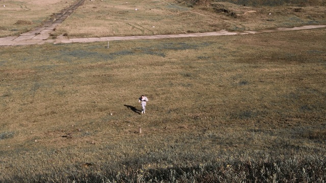 Video Reference: ecosystem, fauna, wildlife, ecoregion, grass, grass family, steppe, sky, grassland, bird