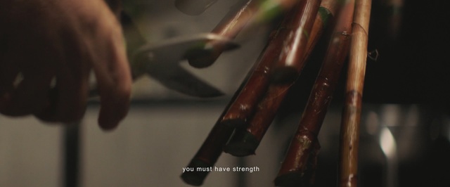 Video Reference: string instrument, musical instrument