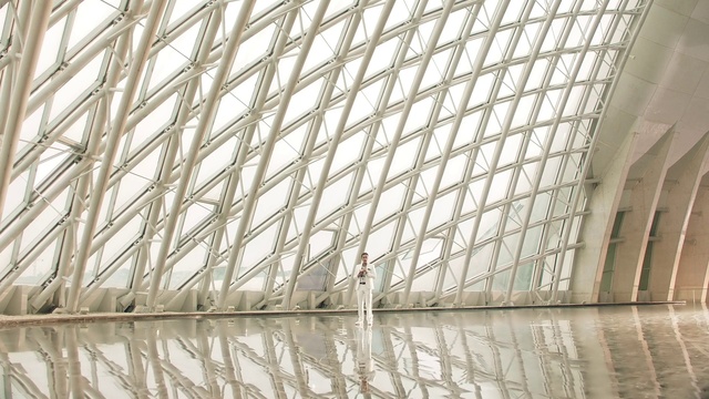Video Reference: Daylighting, Architecture, Line, Metal, Ceiling, Window, Steel, Building, Glass