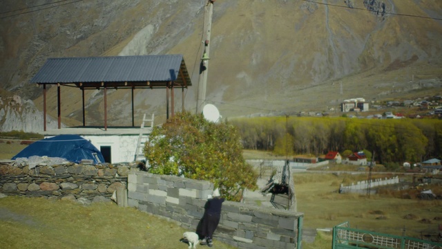 Video Reference: Wall, Painting