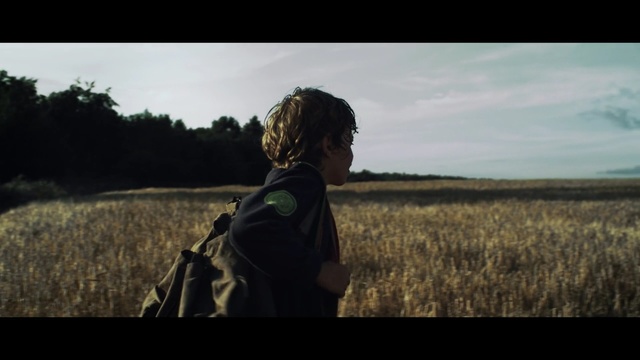 Video Reference: sky, ecosystem, grass, field, tree, grass family, screenshot, prairie, sunlight, girl
