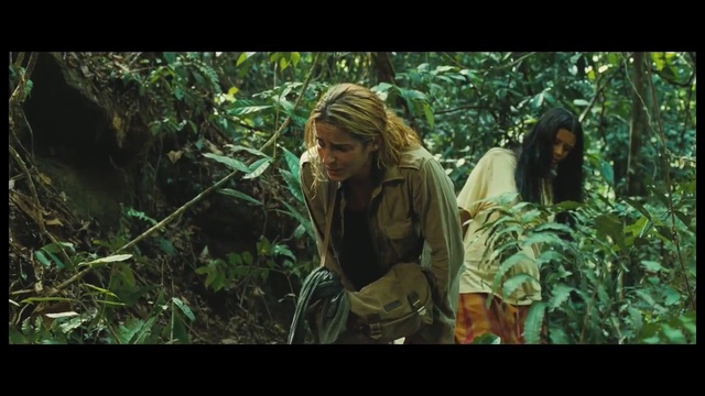 Video Reference: Nature, Jungle, Forest, Natural environment, Vegetation, Rainforest, Tree, Old-growth forest, Adaptation, Wilderness