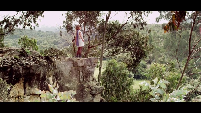 Video Reference: Nature, Vegetation, Tree, Screenshot, Adaptation, Organism, Grass, Plant, Jungle, Adventure game