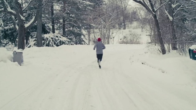 Video Reference: Snow, Winter, White, Photograph, Winter storm, Atmospheric phenomenon, Blizzard, Freezing, Tree, Snapshot, Person