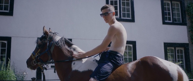 Video Reference: Horse, Male, Muscle, Horse supplies, Rein, Stallion, Mane, Mare, Horse trainer, Barechested, Person