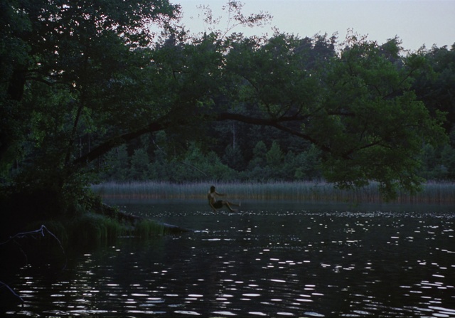 Video Reference: Nature, Water, Atmospheric phenomenon, Bank, Vegetation, Natural environment, Bayou, Morning, Nature reserve, River
