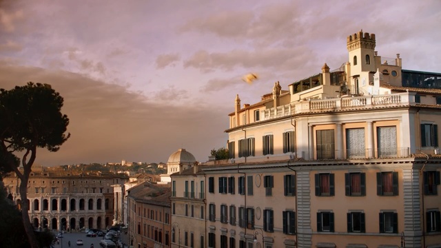 Video Reference: Landmark, Building, Sky, Palace, Architecture, Stately home, City, Classical architecture, Cloud, Facade, Person