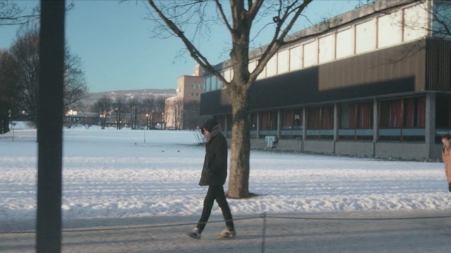 Video Reference: winter, snow, tree, freezing, ice, building, recreation, sky, road, city