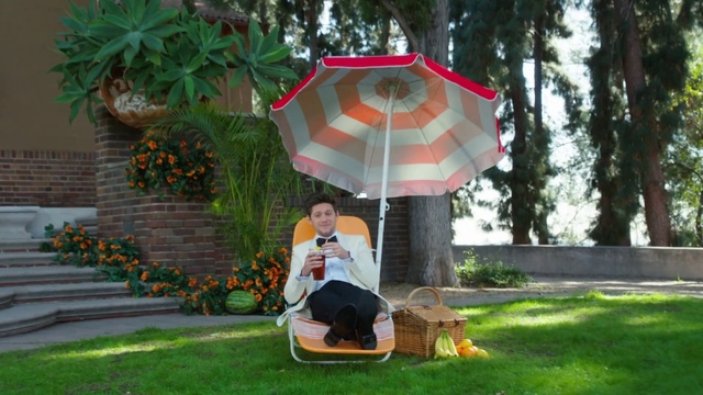 Video Reference: Umbrella, Lawn, Grass, Leisure, Tree, Yard, Garden, Plant, Shade, Fashion accessory