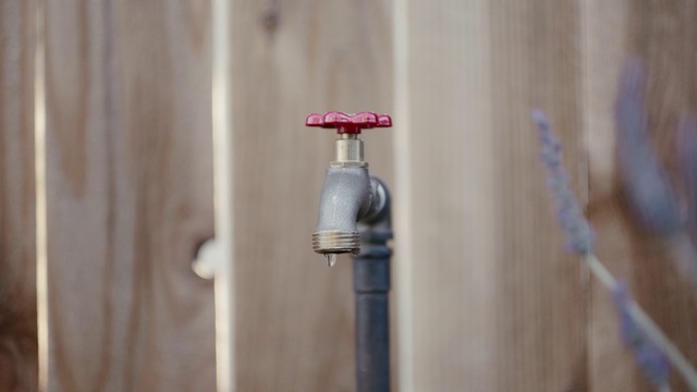 Video Reference: Product, Wood, Plant, Person