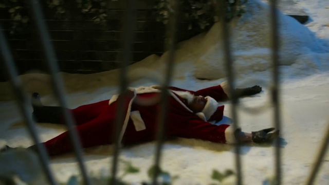 Video Reference: Red, Flag, Plant