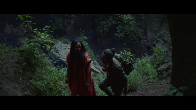 Video Reference: People in nature, Nature, Natural environment, Forest, Jungle, Green, Vegetation, Woodland, Tree, Wilderness