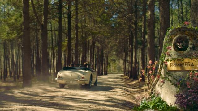 Video Reference: Vehicle, Natural environment, Car, Tree, Mode of transport, Biome, Woodland, Forest, Dirt road, Compact car