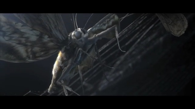 Video Reference: darkness, invertebrate, atmosphere, organism, wing, screenshot, computer wallpaper, stock photography, space, earth